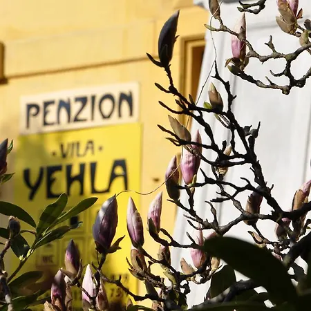 Jehla Pensionat 3*